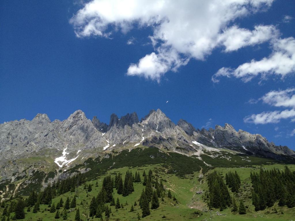 Alpenhof Schwaiger - Hotel Garni Mühlbach am Hochkönig Εξωτερικό φωτογραφία